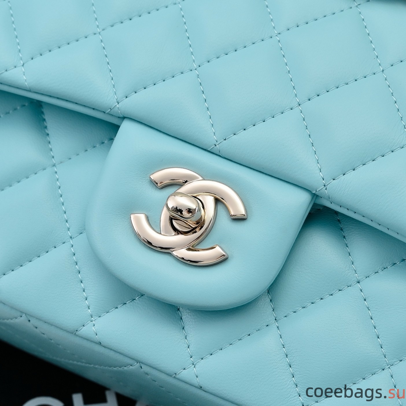 Ch@nel Flap Bag-25CM